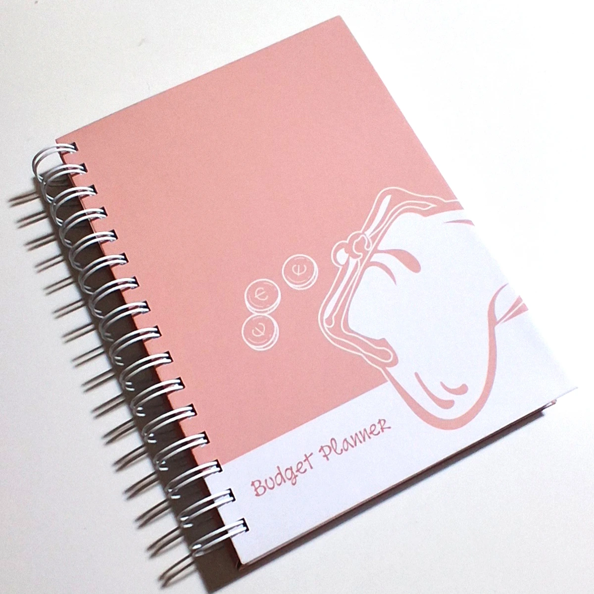Budget planner 1 (ημερολόγιο οργάνωσης οικονομικών) - Image 5