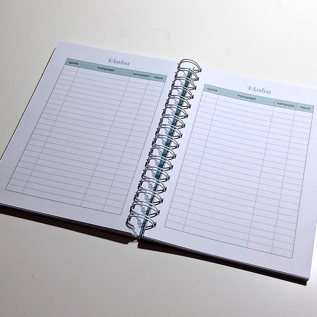 Budget planner 1 (ημερολόγιο οργάνωσης οικονομικών) - Image 6