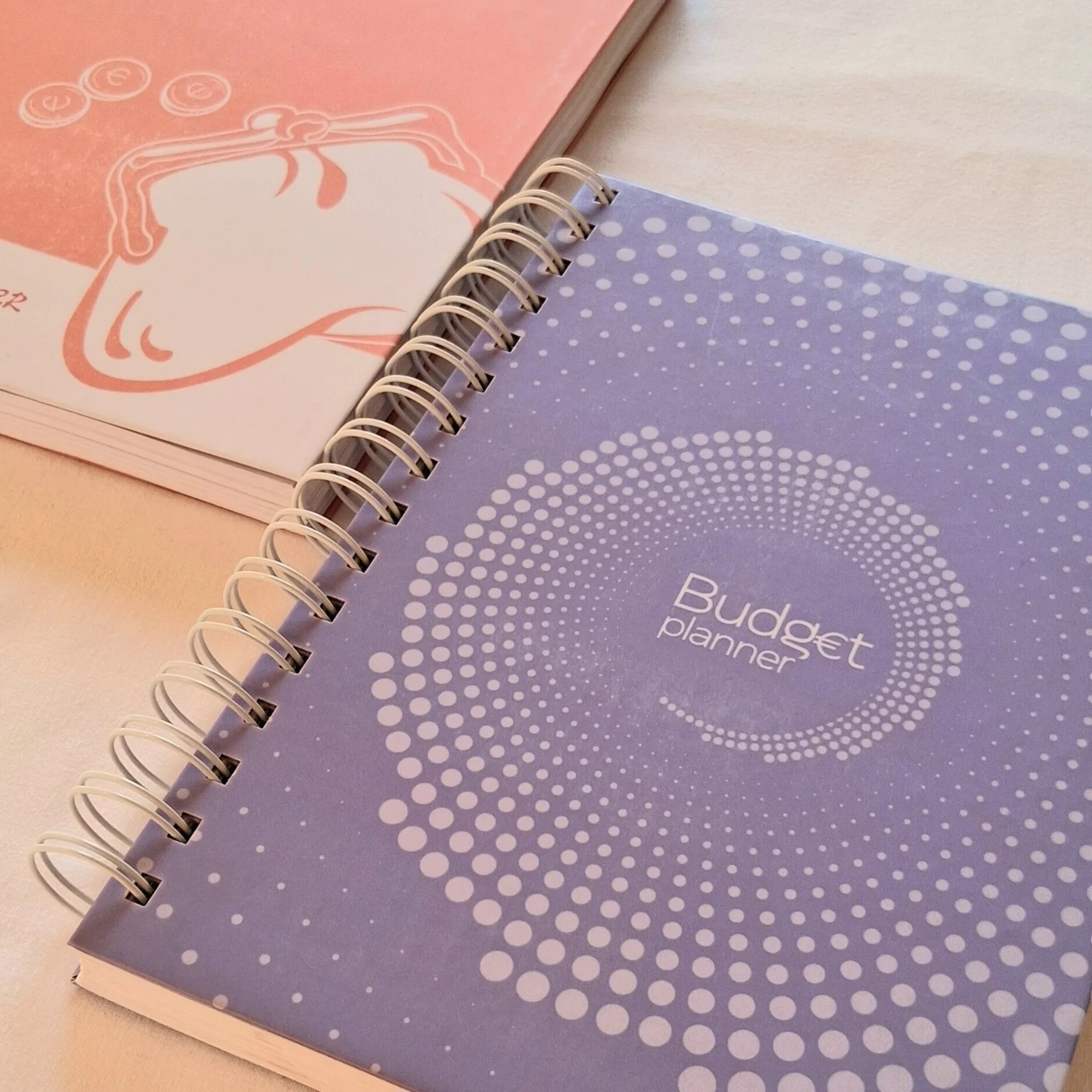 Budget planner 4 (ημερολόγιο οργάνωσης οικονομικών) - Image 15
