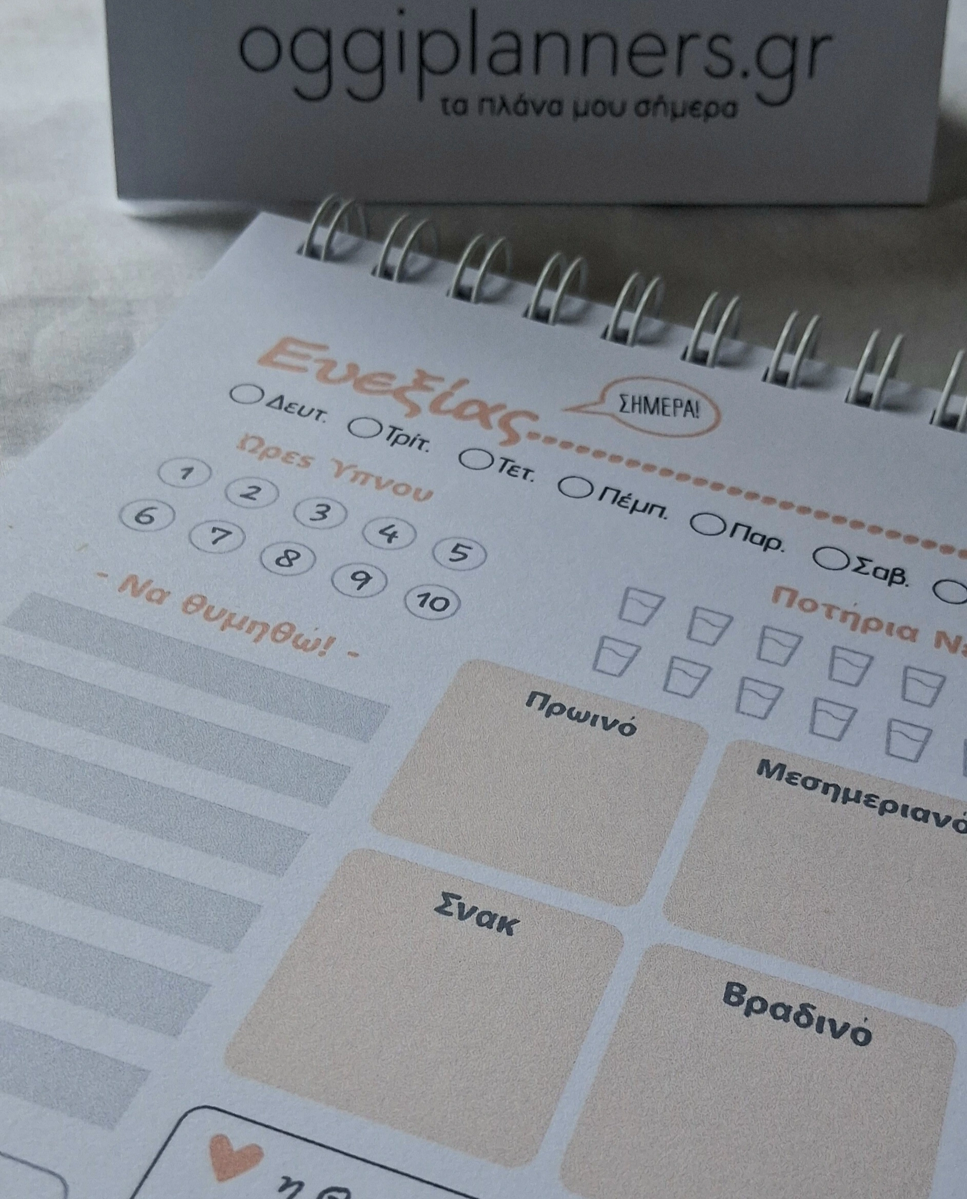 A5 Πλάνο Ευεξίας – Παρατήρηση & Φροντίδα | Pale Pink - Image 7