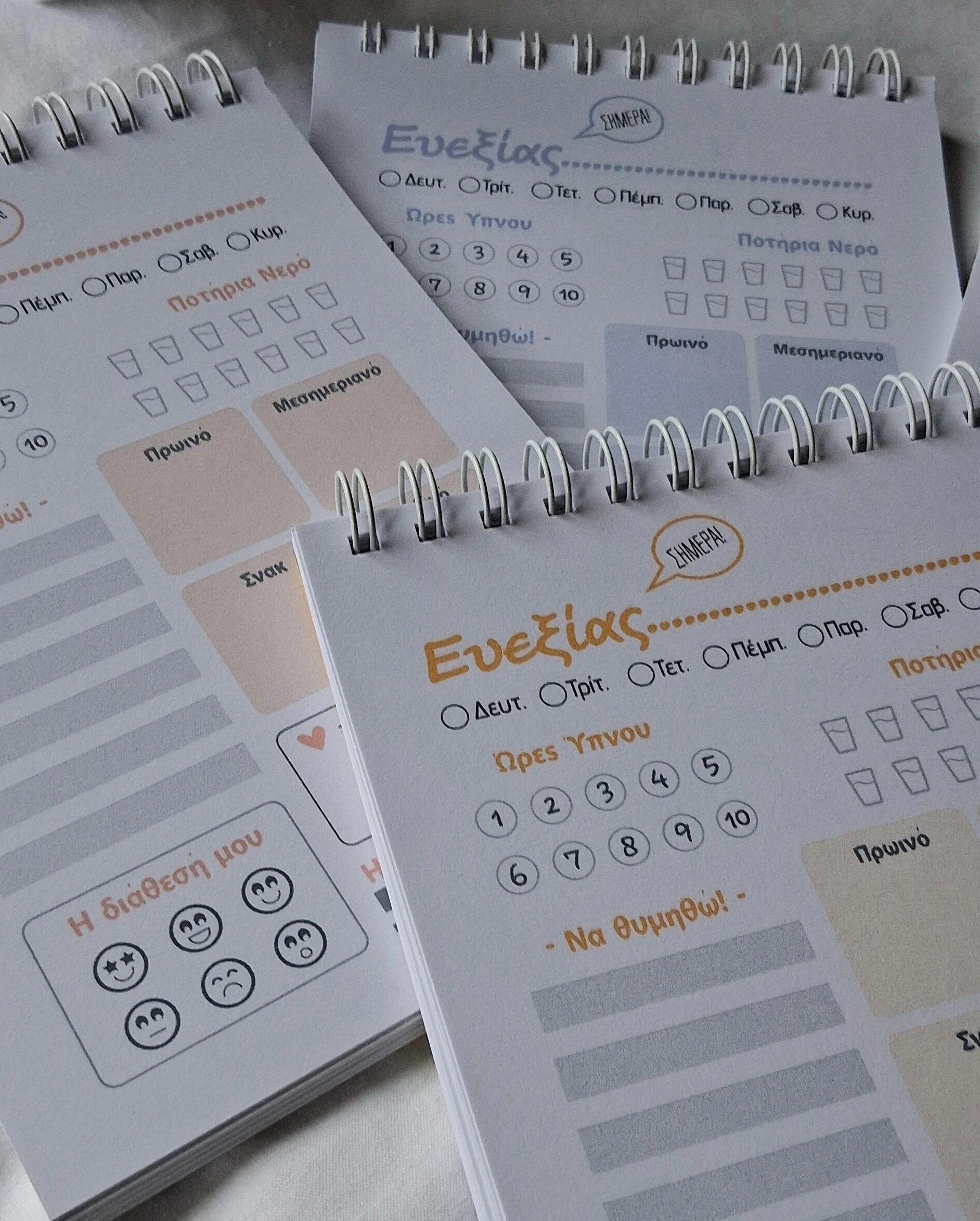 A5 Πλάνο Ευεξίας – Παρατήρηση & Φροντίδα | Pale Pink - Image 8