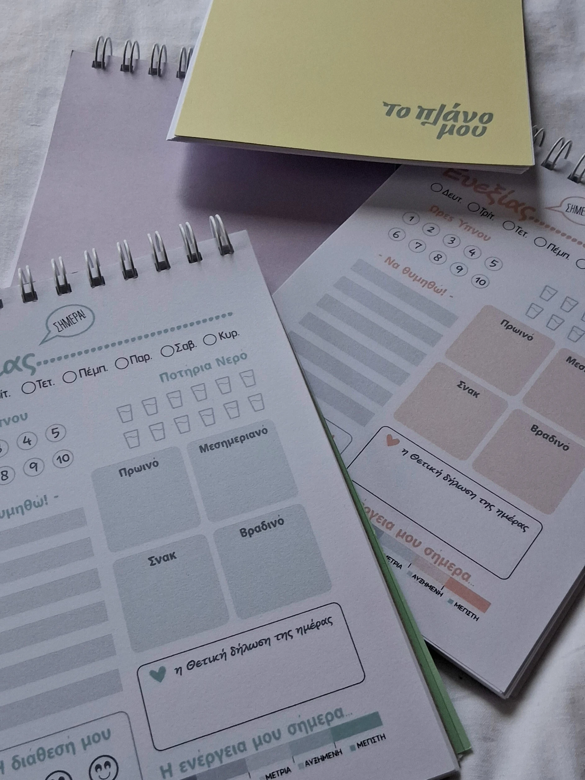 A5 Πλάνο Ευεξίας – Παρατήρηση & Φροντίδα | Pale Pink - Image 9