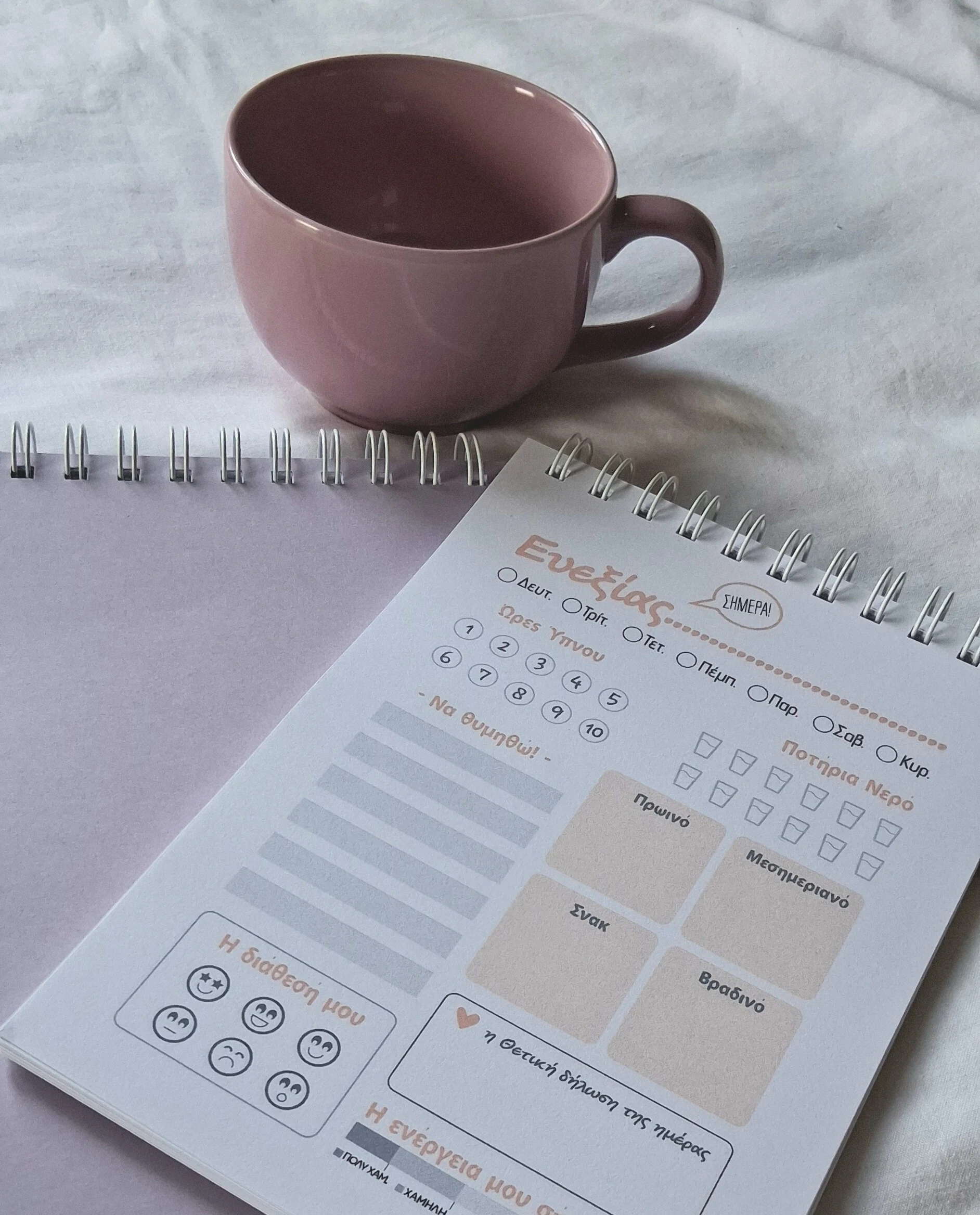 A5 Πλάνο Ευεξίας – Παρατήρηση & Φροντίδα | Pale Pink - Image 10