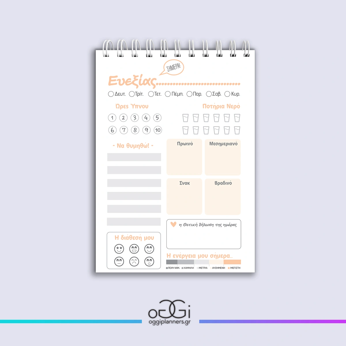 A5 Πλάνο Ευεξίας – Παρατήρηση & Φροντίδα | Pale Pink