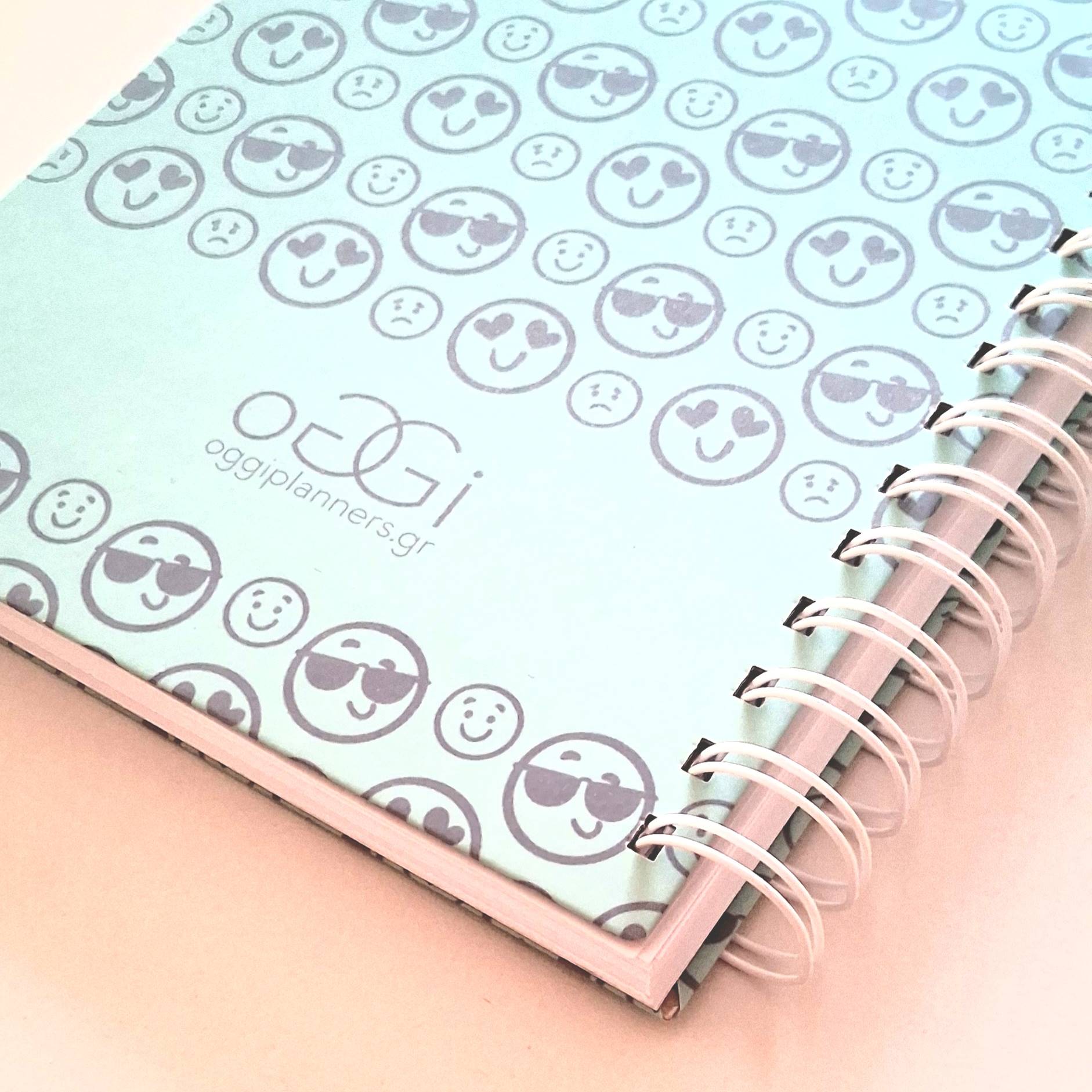 Φοιτητικό Planner 02 | Χειροποίητο Planner Οργάνωσης Σπουδών - Image 8